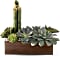 Teleflora's Peaceful Zen Garden Flower Arrangement