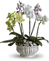 Now and Zen Flower Arrangement - Teleflora Now and Zen Flower Arrangement - Teleflora
