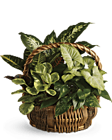 Emerald Garden Basket