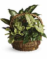 Serenity Wreath