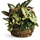 Emerald Garden Basket