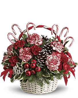 Candy Cane Christmas Floral Arrangement With Peppermint Red Carnations & Edible Candy Canes Delivered By Teleflora Florists.