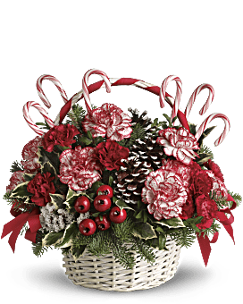 christmas birthday flowers