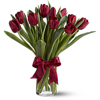 Radiantly Red Tulips