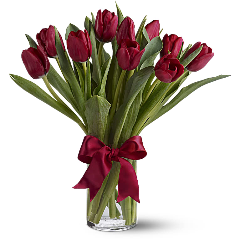 Radiantly Red Tulips