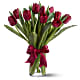 Radiantly Red Tulips