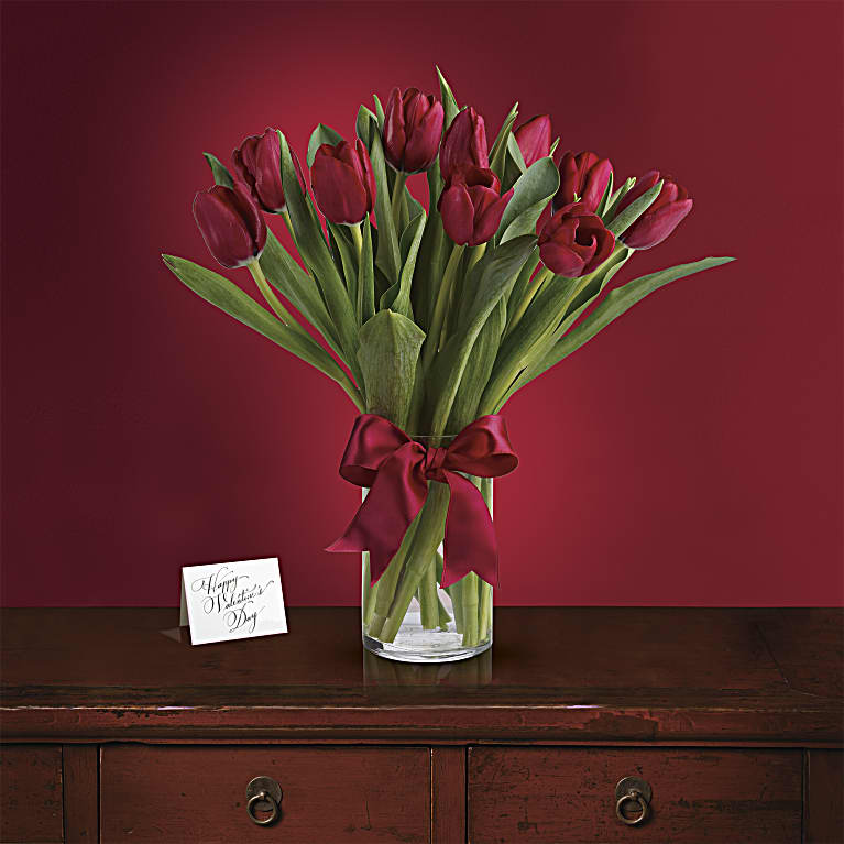 Radiantly Red Tulips