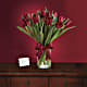 Radiantly Red Tulips
