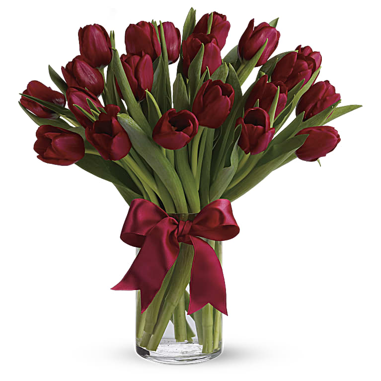 Radiantly Red Tulips