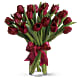 Radiantly Red Tulips