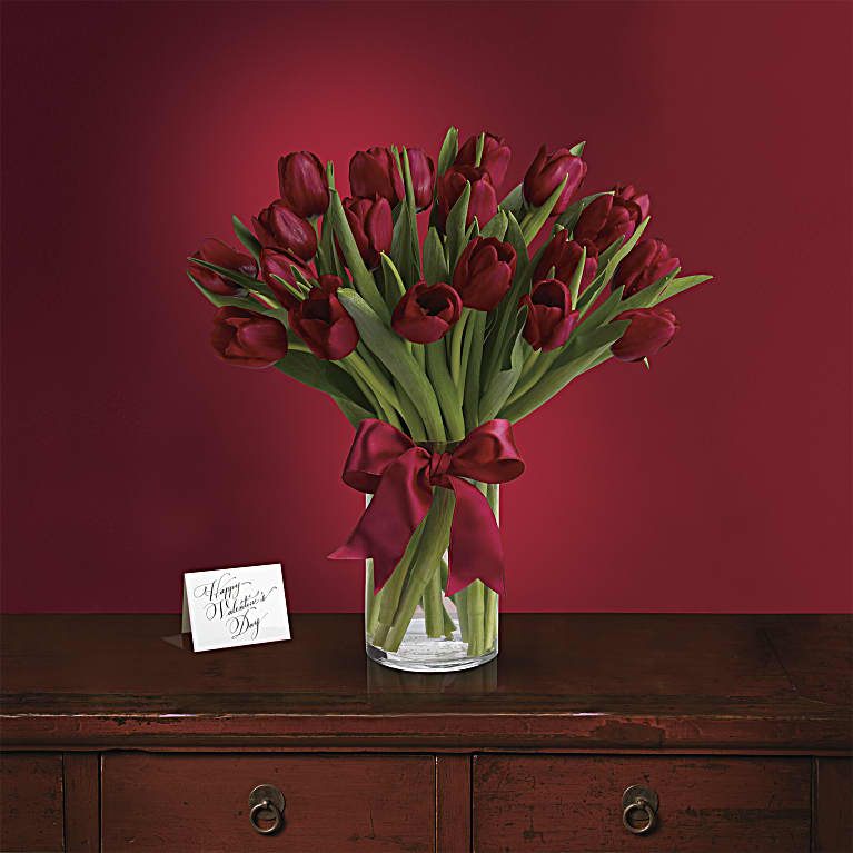 Radiantly Red Tulips