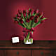 Radiantly Red Tulips