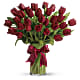 Radiantly Red Tulips