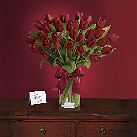 Teleflora Floweriris And Red Tulips Page 2 Tennessee Flower Delivery