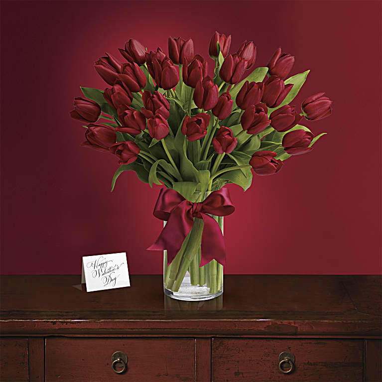 Radiantly Red Tulips