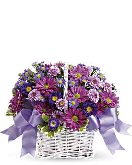 Lavender Daisy Spray Mums, Cushion Spray Mums, Dark Purple Matsumoto Asters, Purple Monte Cassino. Same Day Flower Delivery. Teleflora Daisy Daydreams