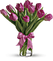 Precious Pink Tulips Flowers