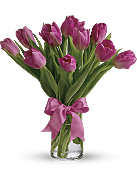 Precious Pink Tulips