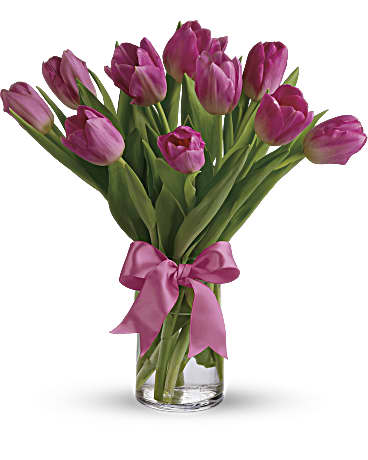 Precious Pink Tulips