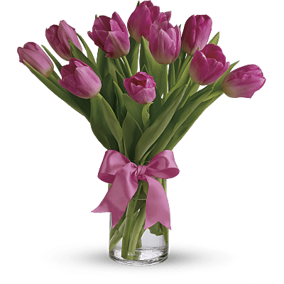 Charmantes tulipes roses