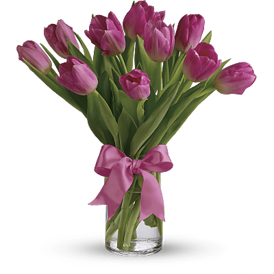 Precious Pink Tulips