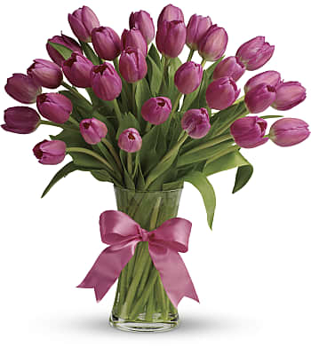 Precious Pink Tulips Flowers