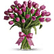 Precious Pink Tulips