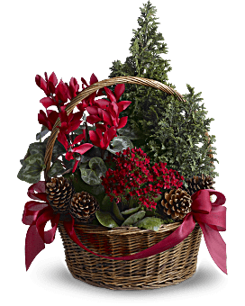 Red , Mixed Bouquets , Tannenbaum Basket , Same Day Flower Delivery , Teleflora Flowers Near Me