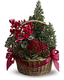 Tannenbaum Basket