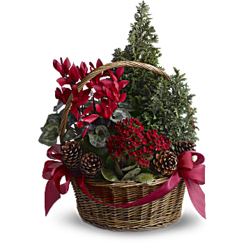Tannenbaum Basket