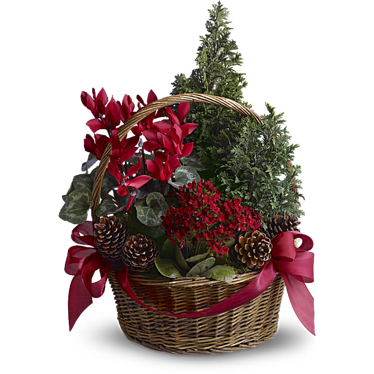 Tannenbaum Basket