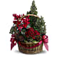Tannenbaum Basket