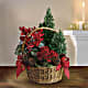 Tannenbaum Basket