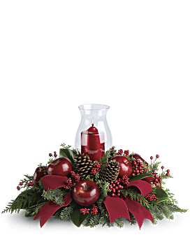 Teleflora's Cozy Christmas #CH23TA • Canada Flowers