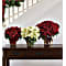 White Poinsettia Bouquet