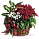 Holiday Homecoming Basket
