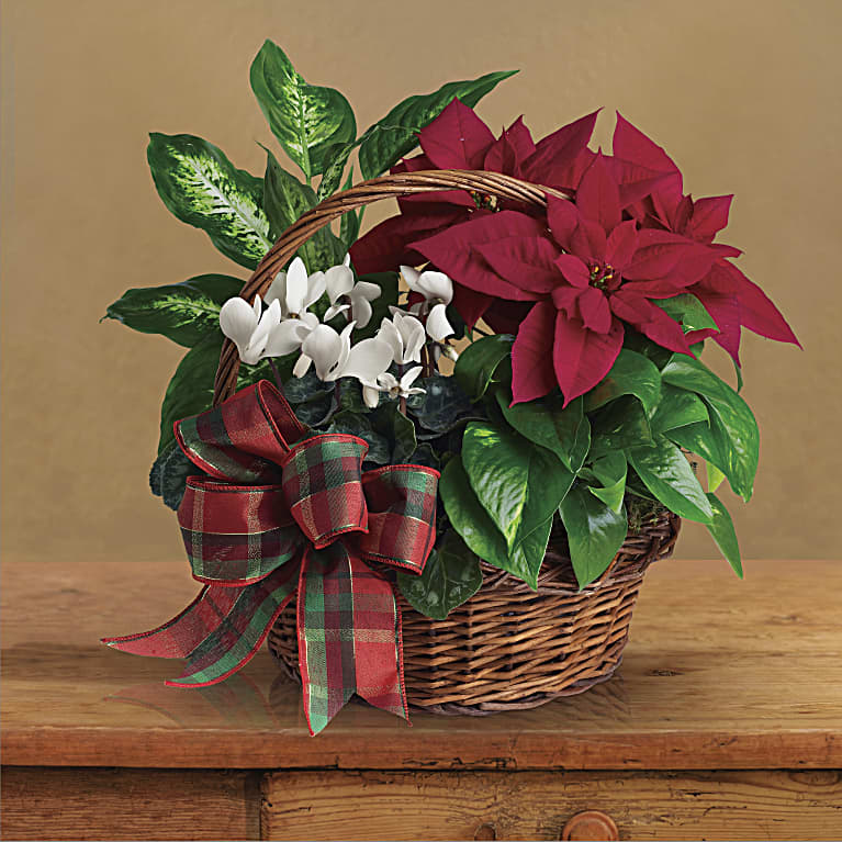 Holiday Homecoming Basket