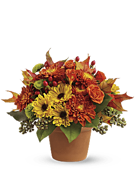 Teleflora's Secret Garden Basket #PL8TA • Canada Flowers