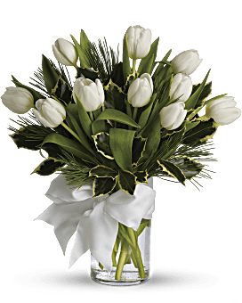 White Tulips Accented With White Pine. Simple Winter Beauty Delivered In A Vase. Teleflora Tulips & Pine Bouquet.