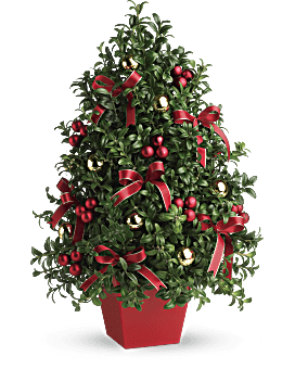 Mini Christmas Tree Centerpiece , Boxwood Tree Tabletop Centerpiece. Flower Delivery By Teleflora