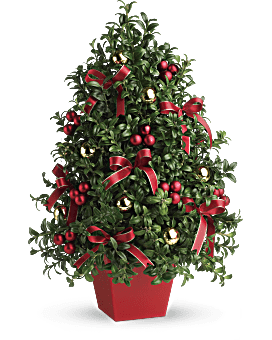 Deck The Halls Tree