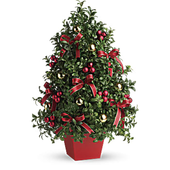 Deck The Halls Tree