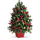 Deck The Halls Tree