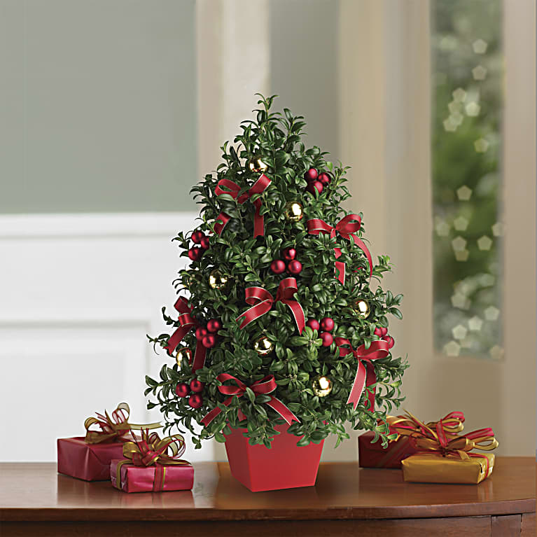 Deck The Halls Tree