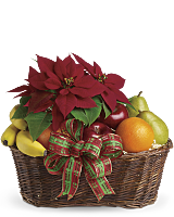 Fruit and Poinsettia Basket