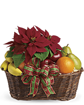 Fruit and Poinsettia Basket