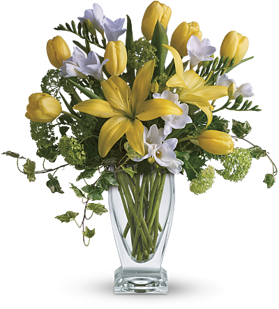 Comprar Freesia