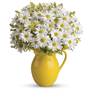 Envoyer la composition florale Sunny Day Pitcher of Daises de Teleflora