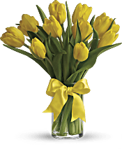 Sunny Yellow Tulips Flowers