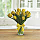 Sunny Yellow Tulips